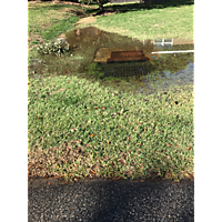 Day after the king tide Virginia Beach image